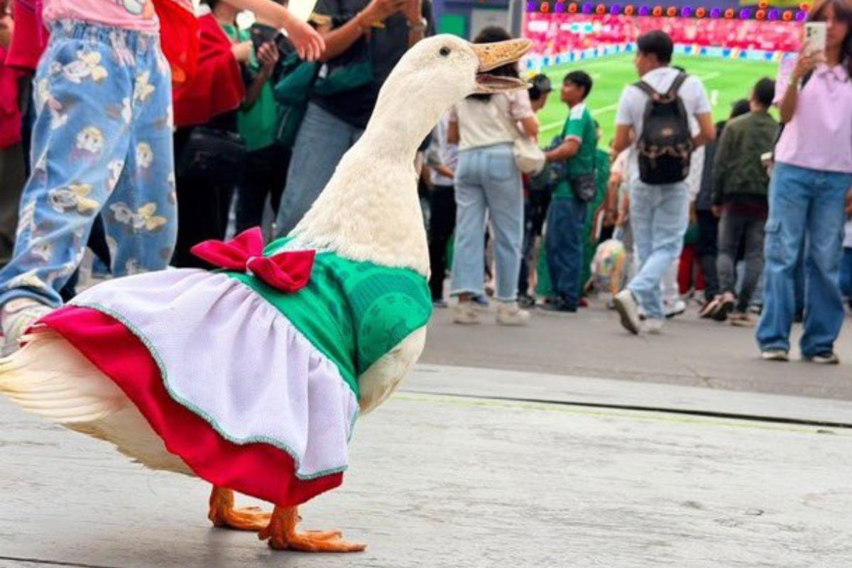 Se viraliza Juanita la patita
