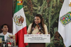 solicitud de revocación de mandato de alcaldesa de Acatlán (4)
