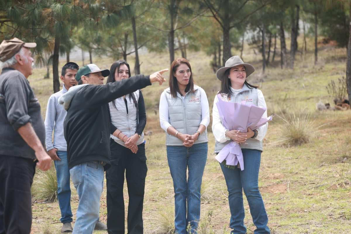 Compromiso cumplido, #PlanHídricoZacatlán avanza con entrega de geomembrana