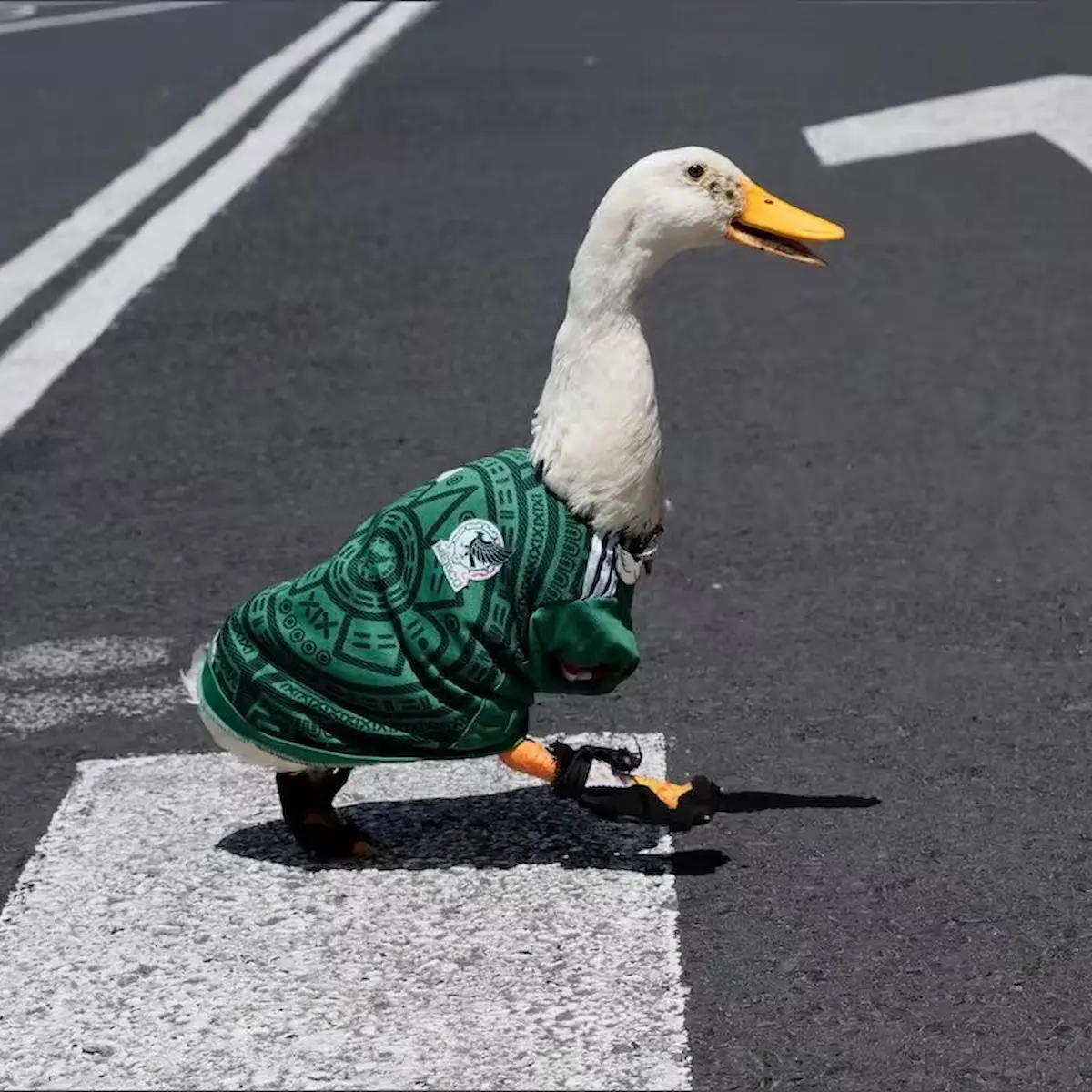 Dueña del pato Merlín inicia trámite para registrar su imagen ante el IMPI 2 Dueña del pato Merlín inicia trámite para registrar su imagen ante el IMPI