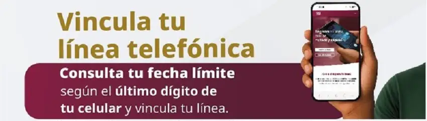 Fechas límites para el registro de línea telefónica en México