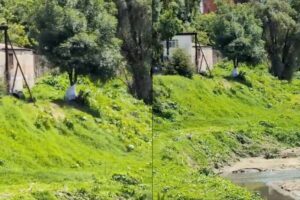 Localizan a una mujer sin vida en la colonia Cuauhtémoc