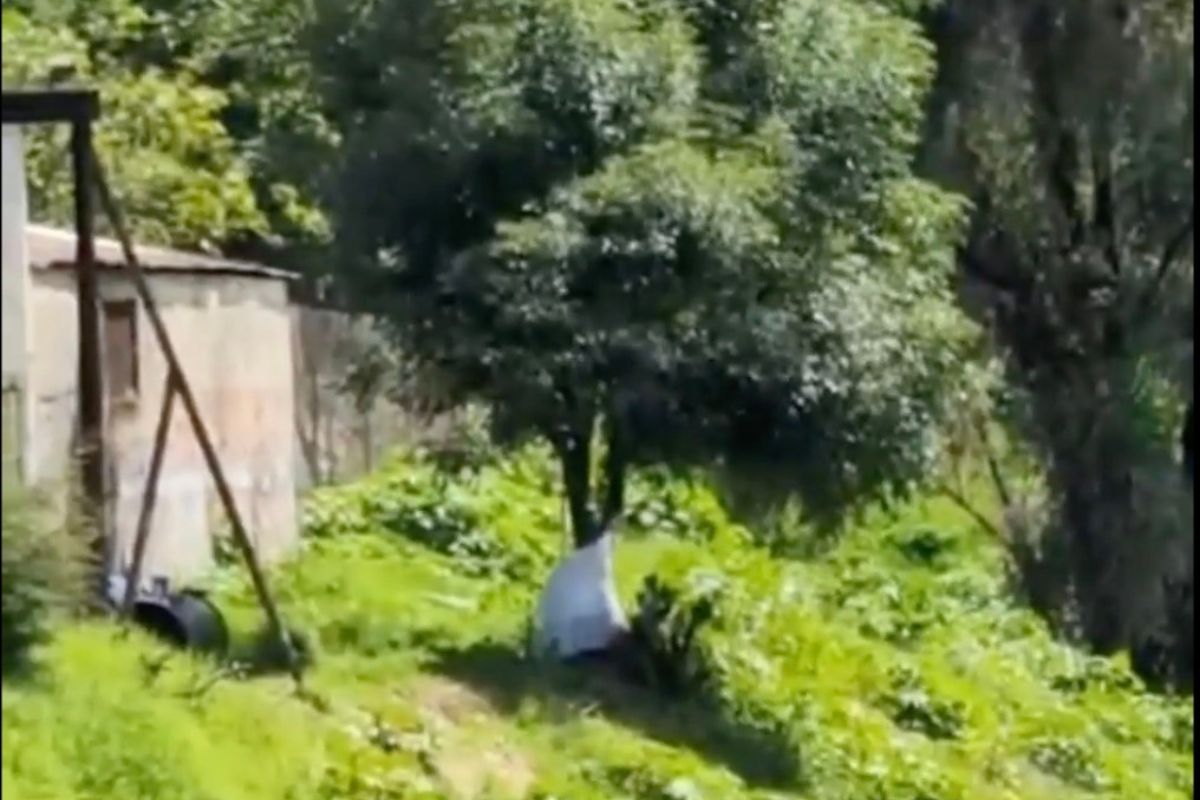 Localizan a una mujer sin vida en la colonia Cuauhtémoc
