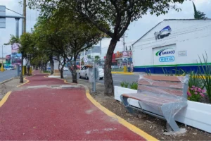 Instalarán cámaras de videovigilancia en el Paseo de Campeones 