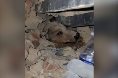 Terremoto en Venezuela