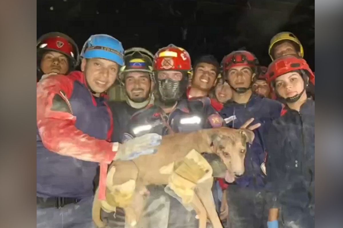 Terremoto en Venezuela