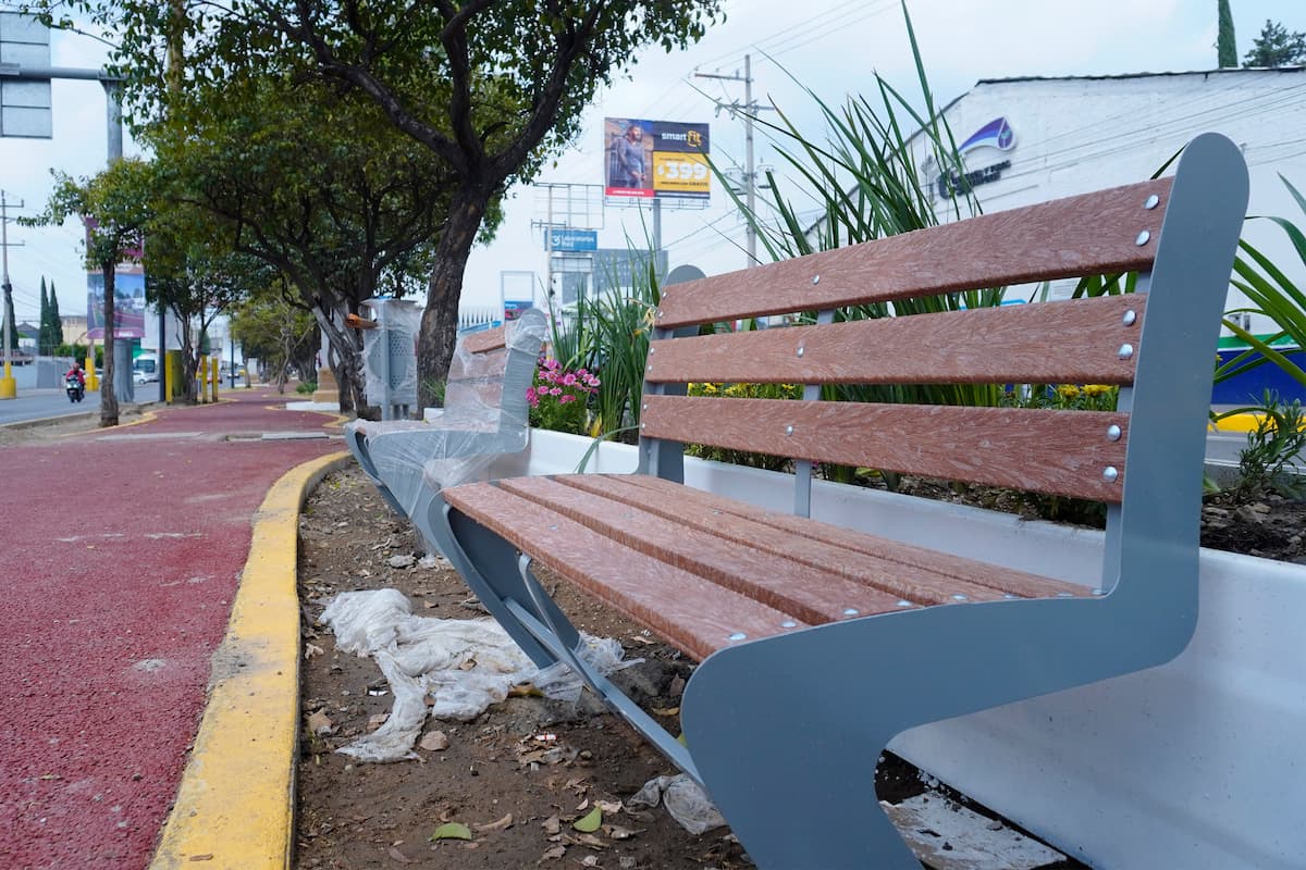 Instalarán cámaras de videovigilancia en el Paseo de Campeones