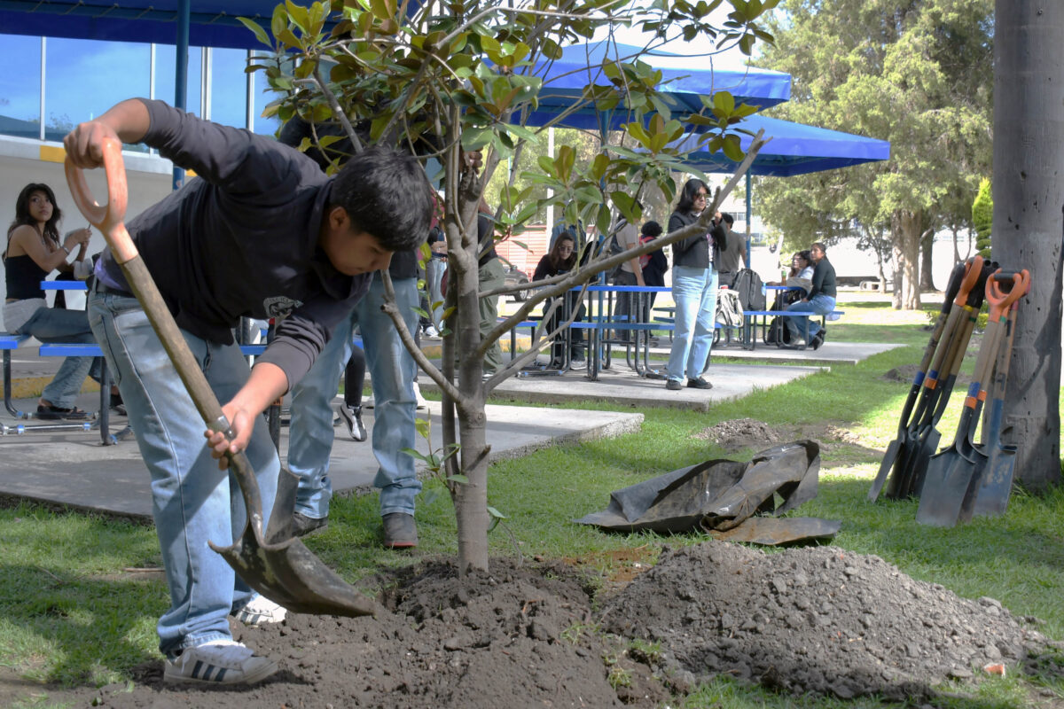 jornada de arborización (2)