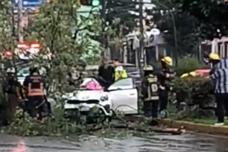 Tromba provoca caída de árbol sobre un vehículo en la Recta a Cholula