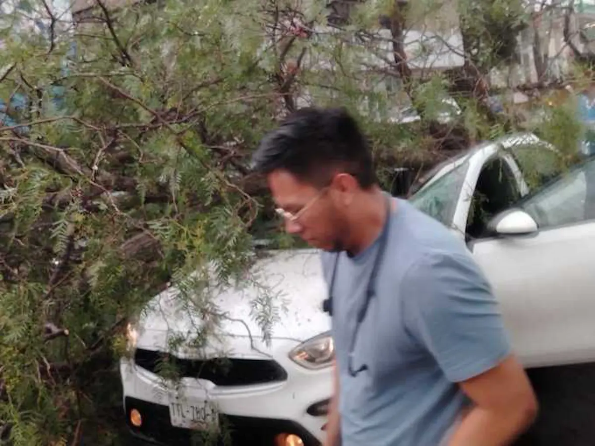 Tromba provoca caída de árbol sobre un vehículo en la Recta a Cholula