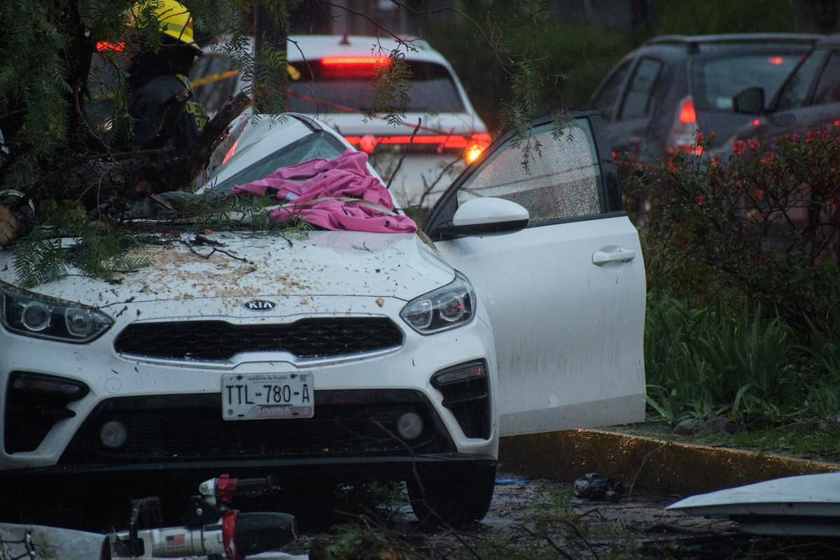 la mujer que perdió la vida tras caída de un árbol en Puebla tenía tres hijos