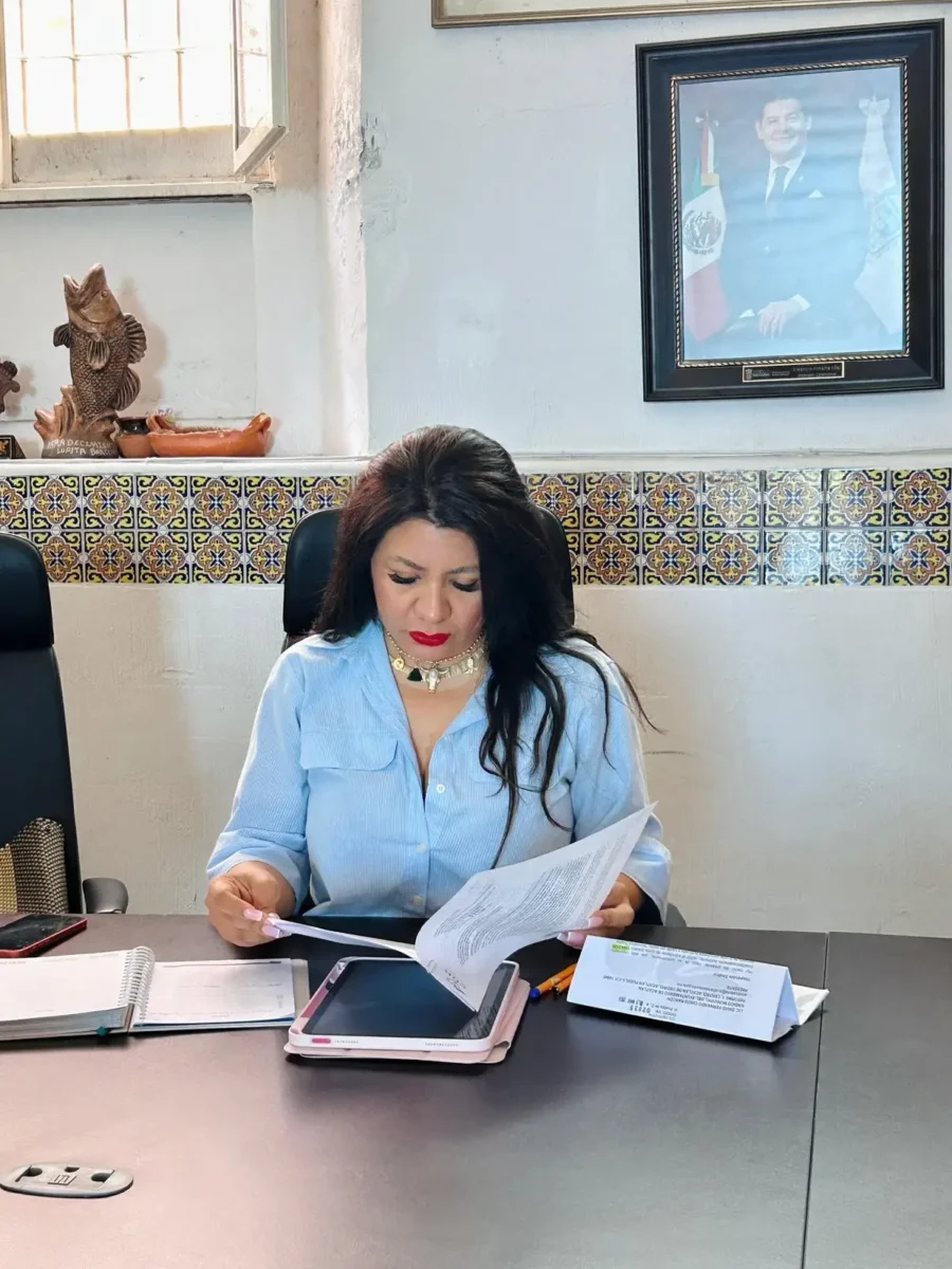 Guadalupe Bárcenas no dejará la alcaldía de Acatlán ni pedirá licencia
