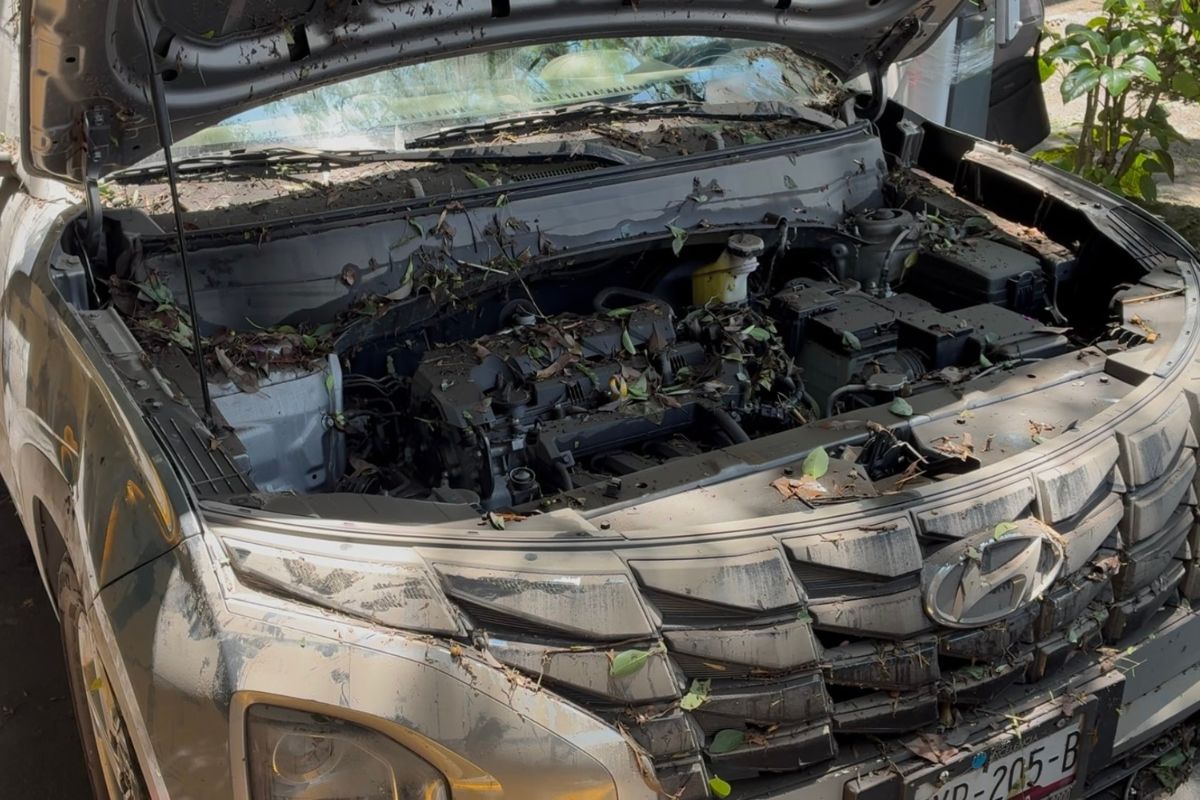 Comienza rescate de autos inundados en el estacionamiento de San Francisco
