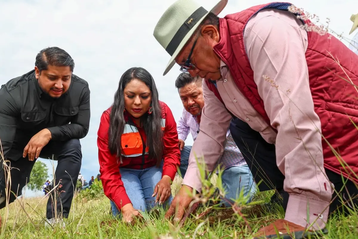 Impulsa Tonantzin Fernández acciones permanentes de reforestación en el Cerro Zapotecas