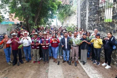 Impulsa Tonantzin Fernández acciones permanentes de reforestación en el Cerro Zapotecas