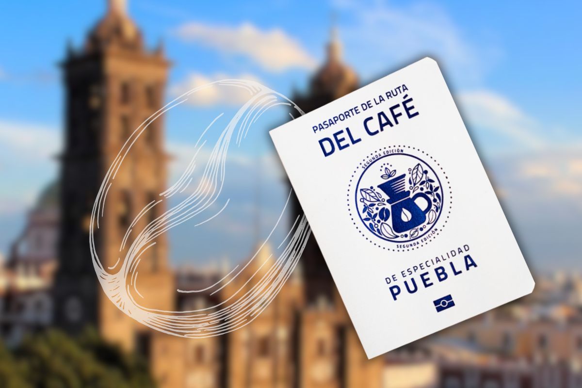 café de especialidad de Puebla | Foto: Ruta del Café Puebla
