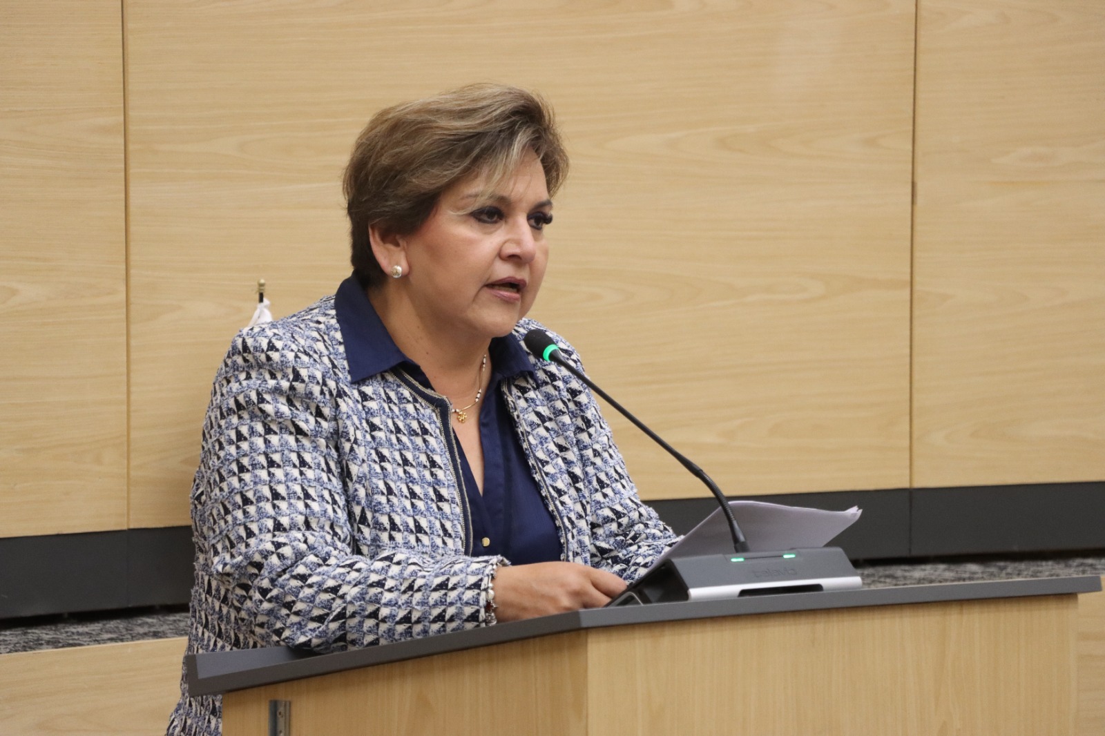 Diputada Floricel González impulsa iniciativa para difundir información sobre refugios temporales 2 refugios temporales Puebla | Foto: Cortesía