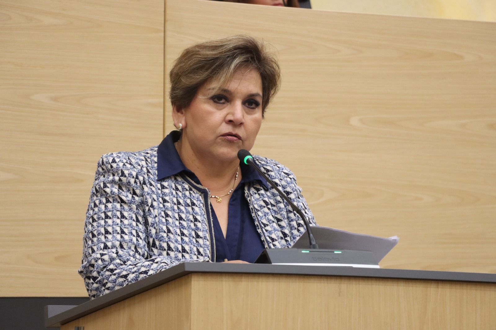 Diputada Floricel González impulsa iniciativa para difundir información sobre refugios temporales 3 refugios temporales Puebla | Foto: Cortesía