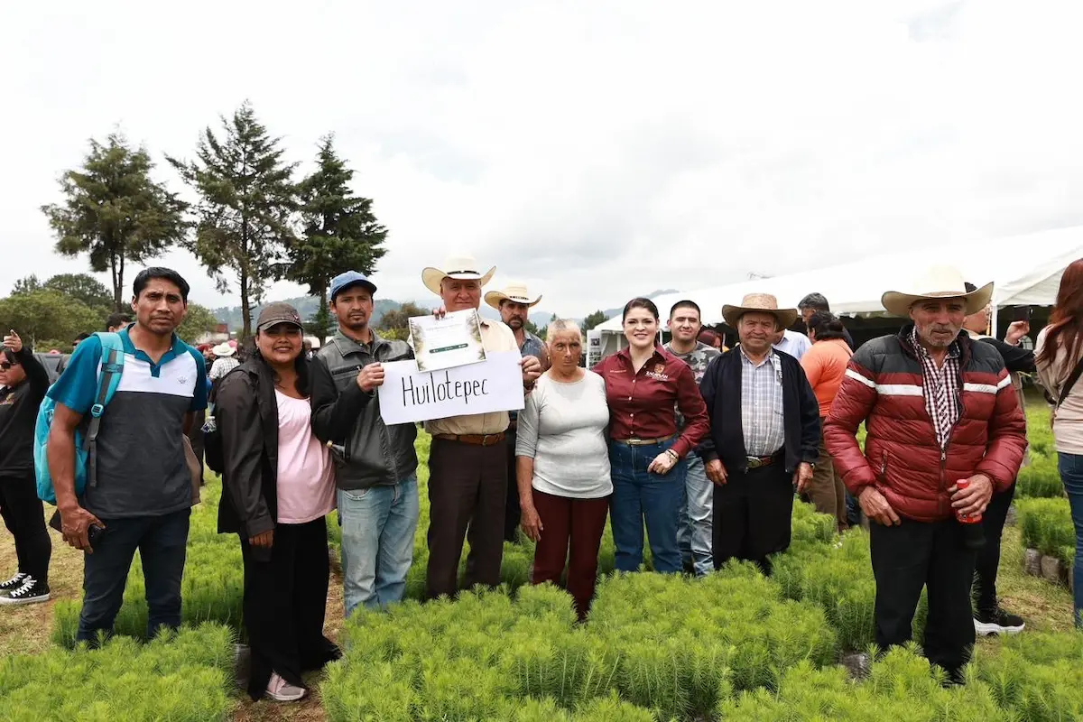 Zacatlán es ejemplo estatal en reforestación y sustentabilidad: Gobierno del Estado