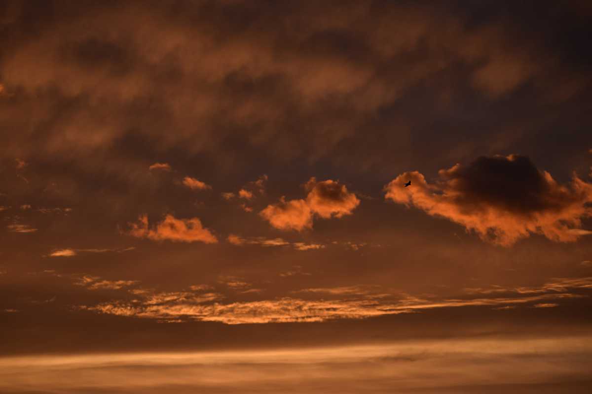 Puebla registrará lluvia intensa y tormentas la tarde del miércoles 8 de julio, con máxima de 22°C | Foto: Agencia Enfoque