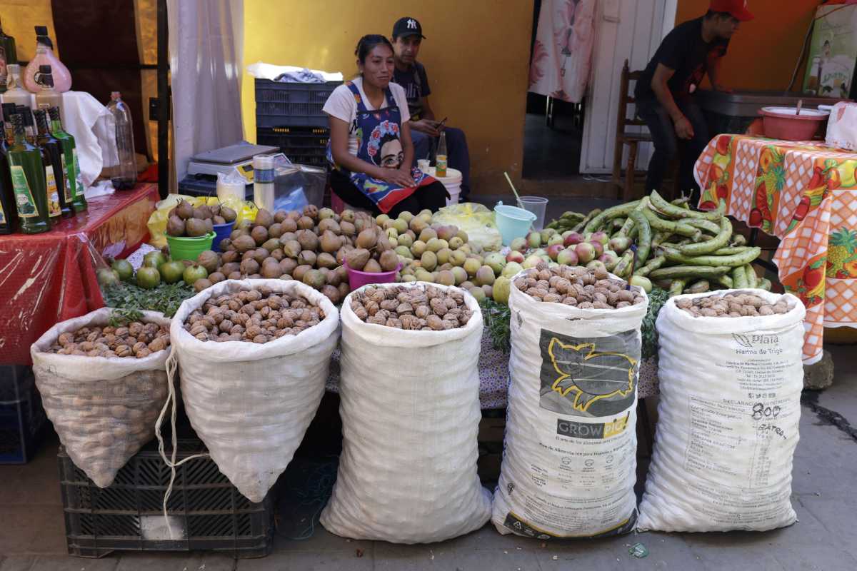 Guía MICHELIN 2026: los 7 restaurantes de Puebla donde puedes comer chiles en nogada 3 Siete restaurantes distinguidos por la Guía MICHELIN en Puebla venden chiles en nogada durante la temporada 2026 | Foto: Agencia Enfoque