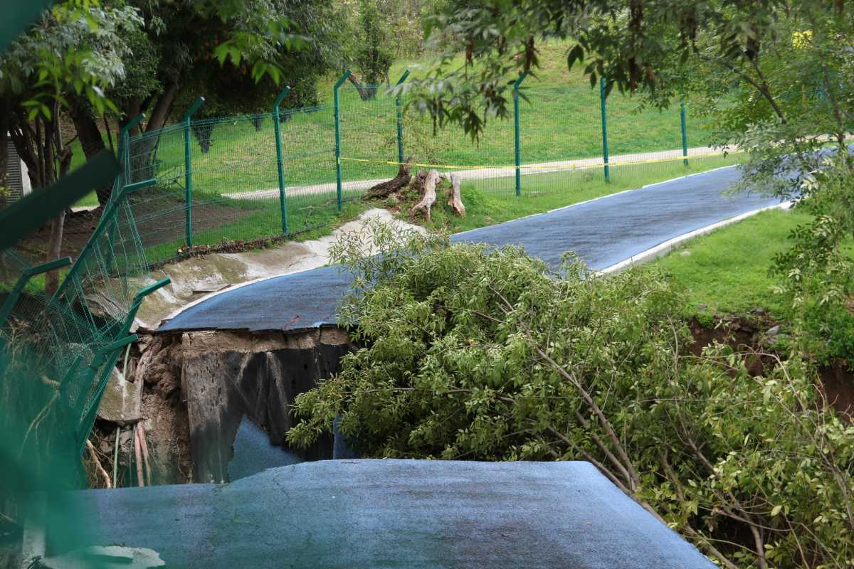 Área cerrada tras colapso del andador del Parque Metropolitano