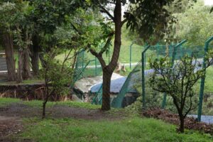 Colapsó andador del Parque Metropolitano en Puebla | Foto: Agencia Enfoque
