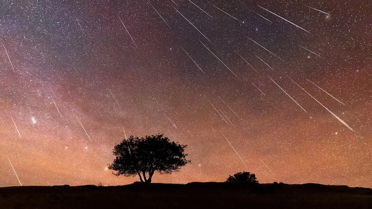 ¿Cuándo ver la lluvia de estrellas pegásidas desde México?