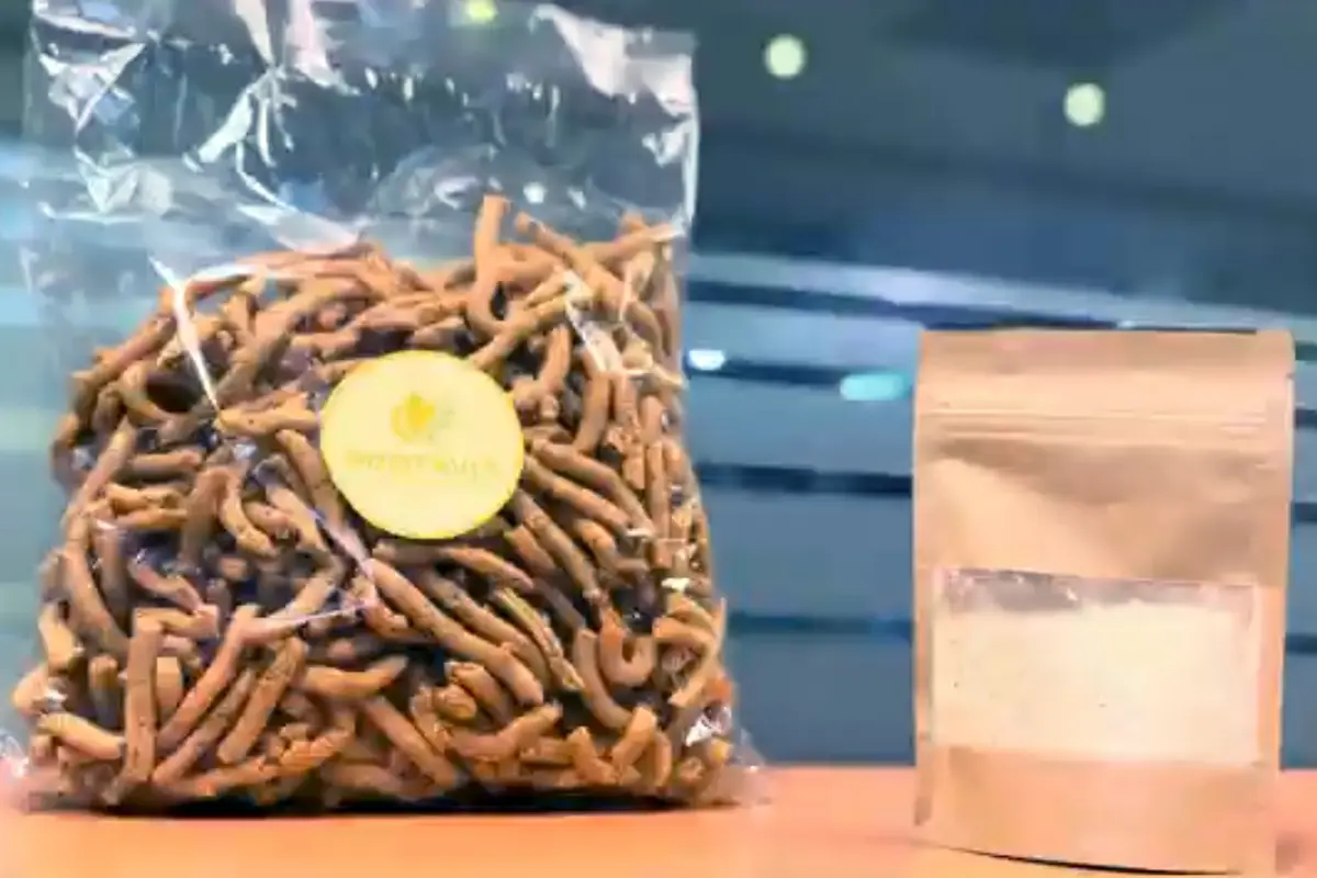 Crean estudiantes BUAP startup biotecnológica para combatir desnutrición