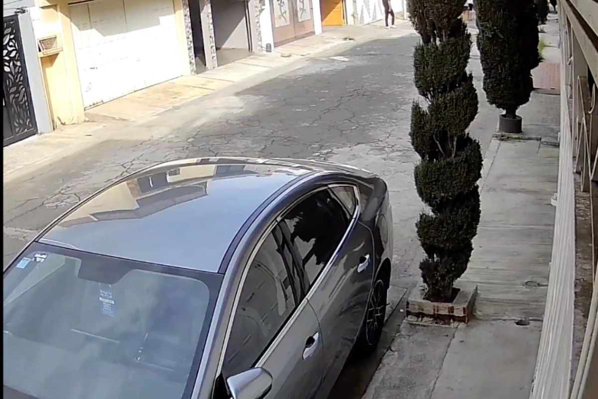 Reportan detonaciones de arma de fuego en Bosques del Pilar; despliegan operativo en la zona