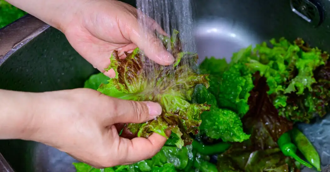 ¿Qué es la Cyclospora que provoca diarrea explosiva?