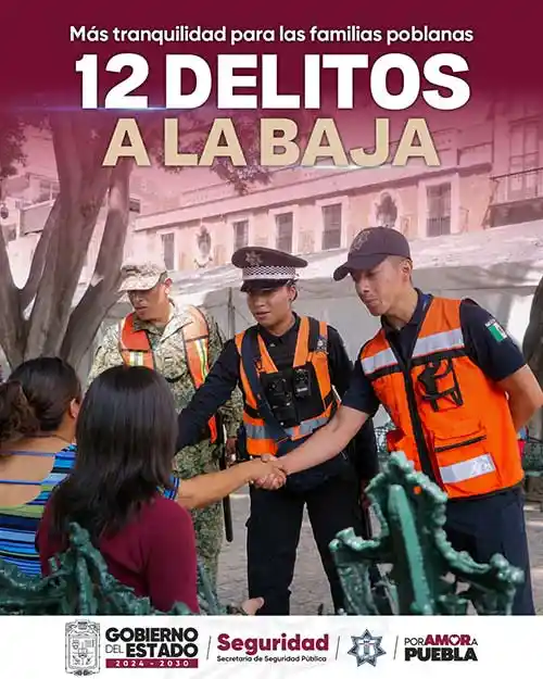 12delitos a la baja