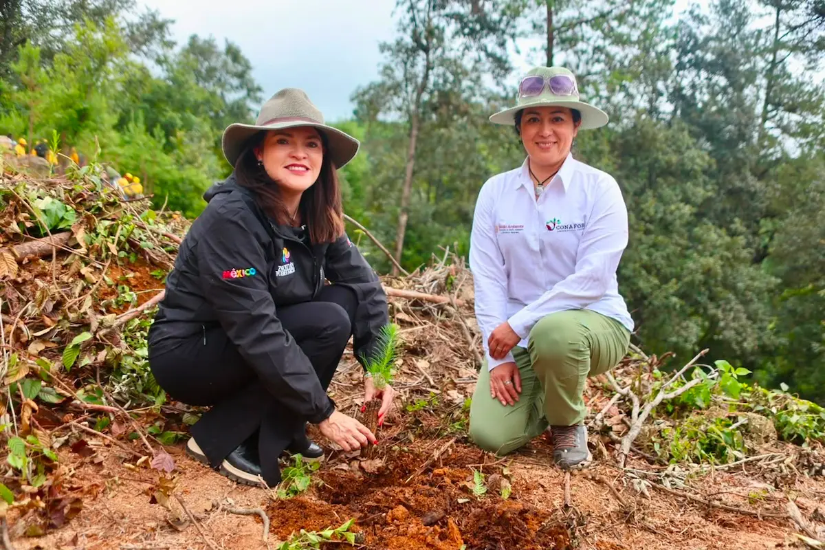 Ejido de Poxcuatzingo obtiene certificado nacional por su buen manejo forestal