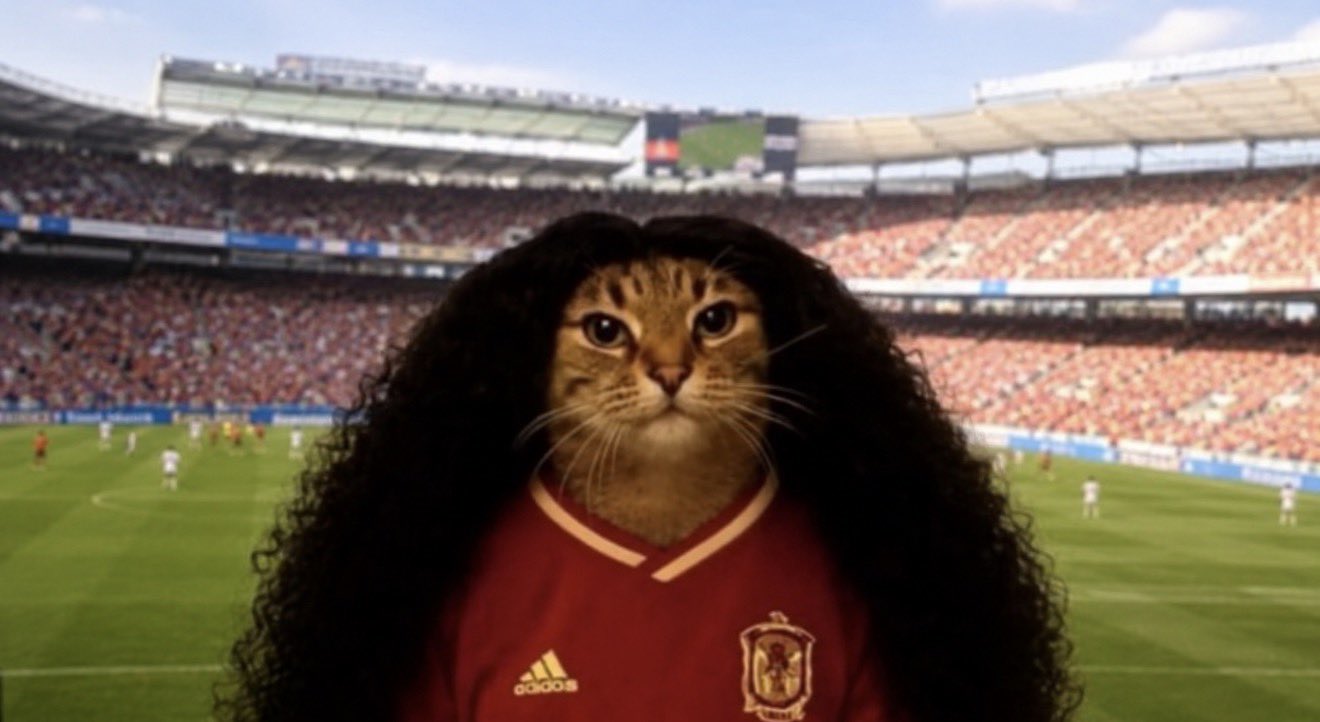 Ni Messi los salvó: los mejores memes de la derrota de Argentina en el Mundial 2026 3 Los memes de la derrota de Argentina siguen circulando en redes | Foto: Cortesía