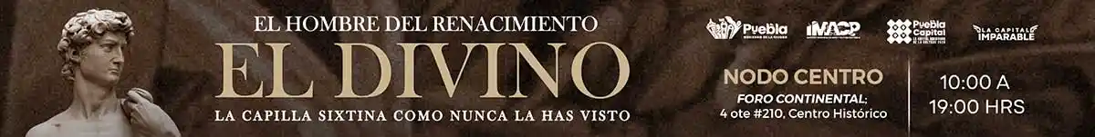 el divino banner