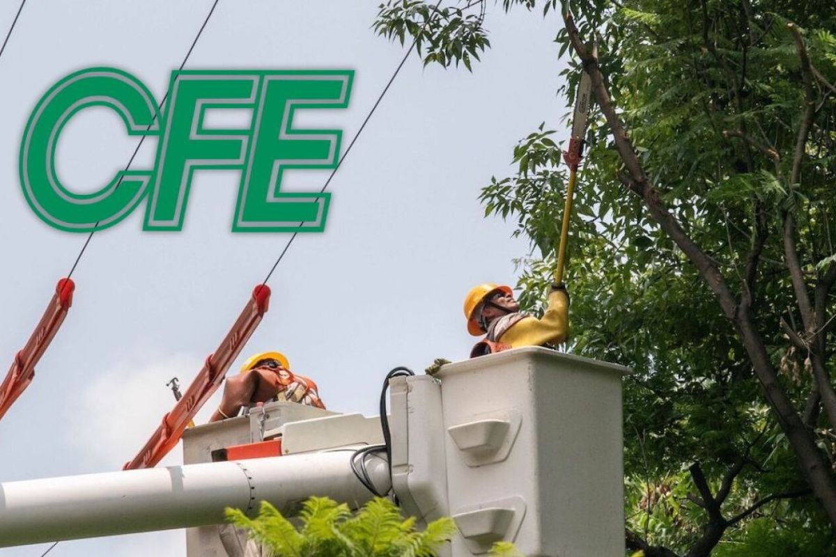 CFE anuncia apagón masivo hoy 22 de julio