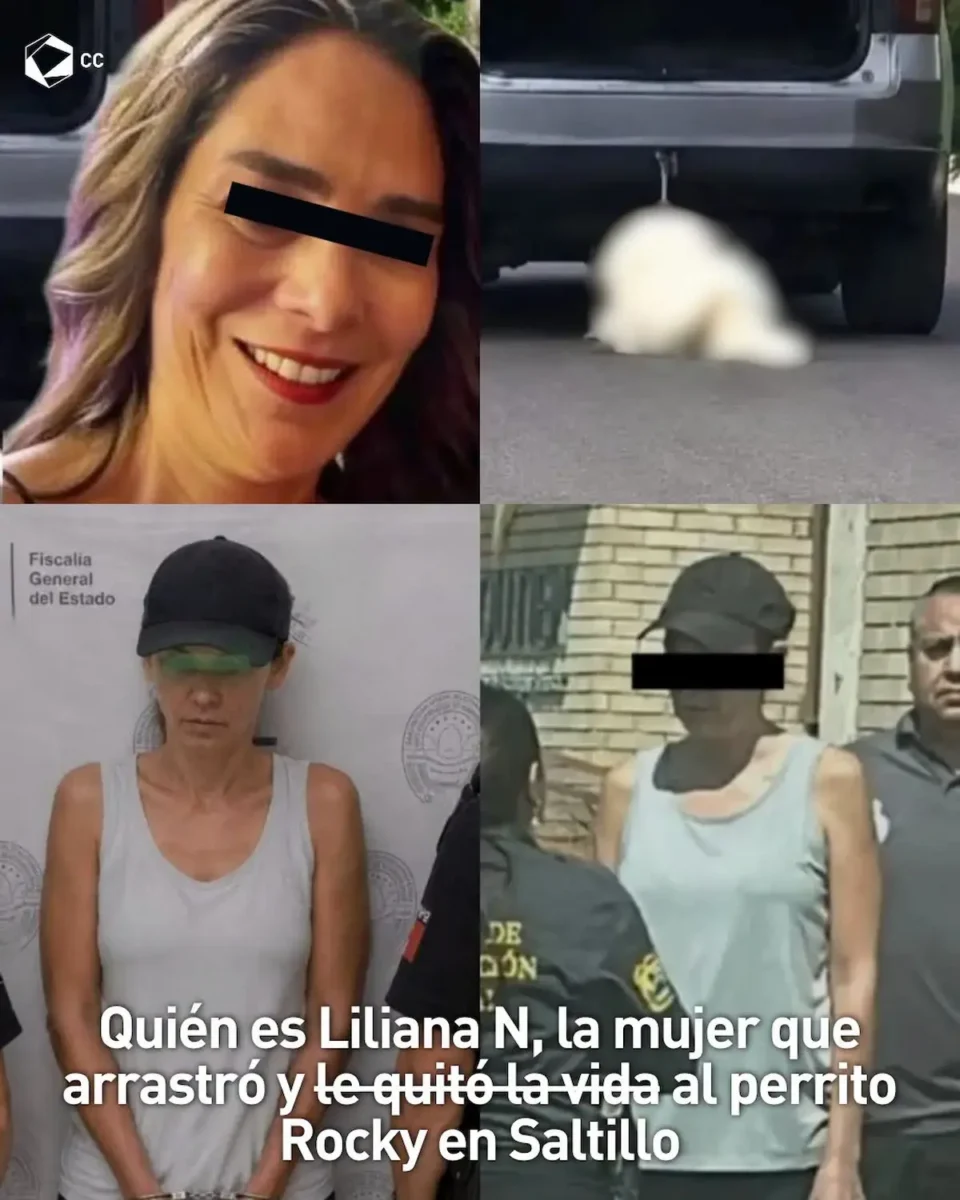 Caso del perrito Rocky