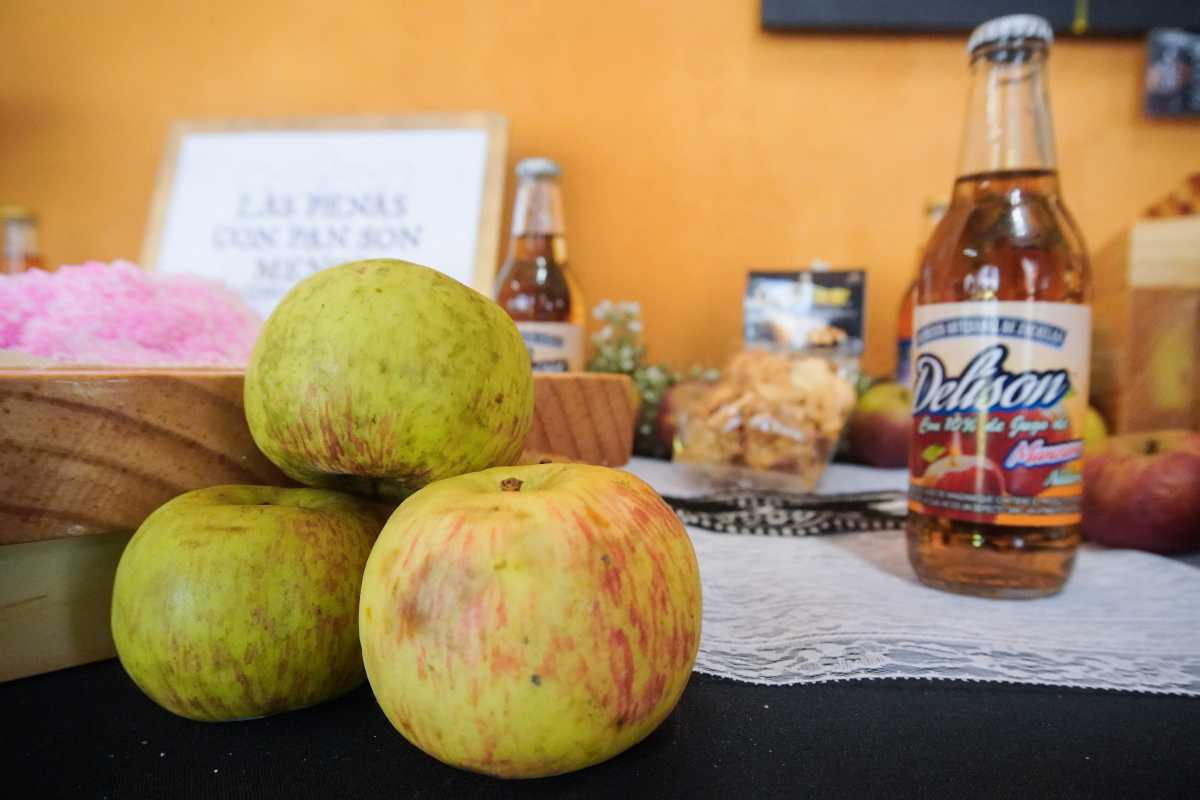 Gran feria de la manzana de Zacatlán | Foto: Agencia Enfoque