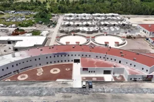 Célula de Bienestar Animal de Puebla: Esto es lo que debes saber