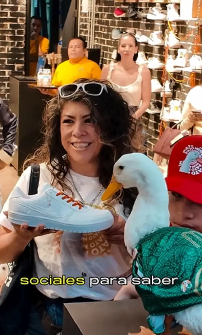 Así son los tenis del Pato Merlín edición limitada de Panam