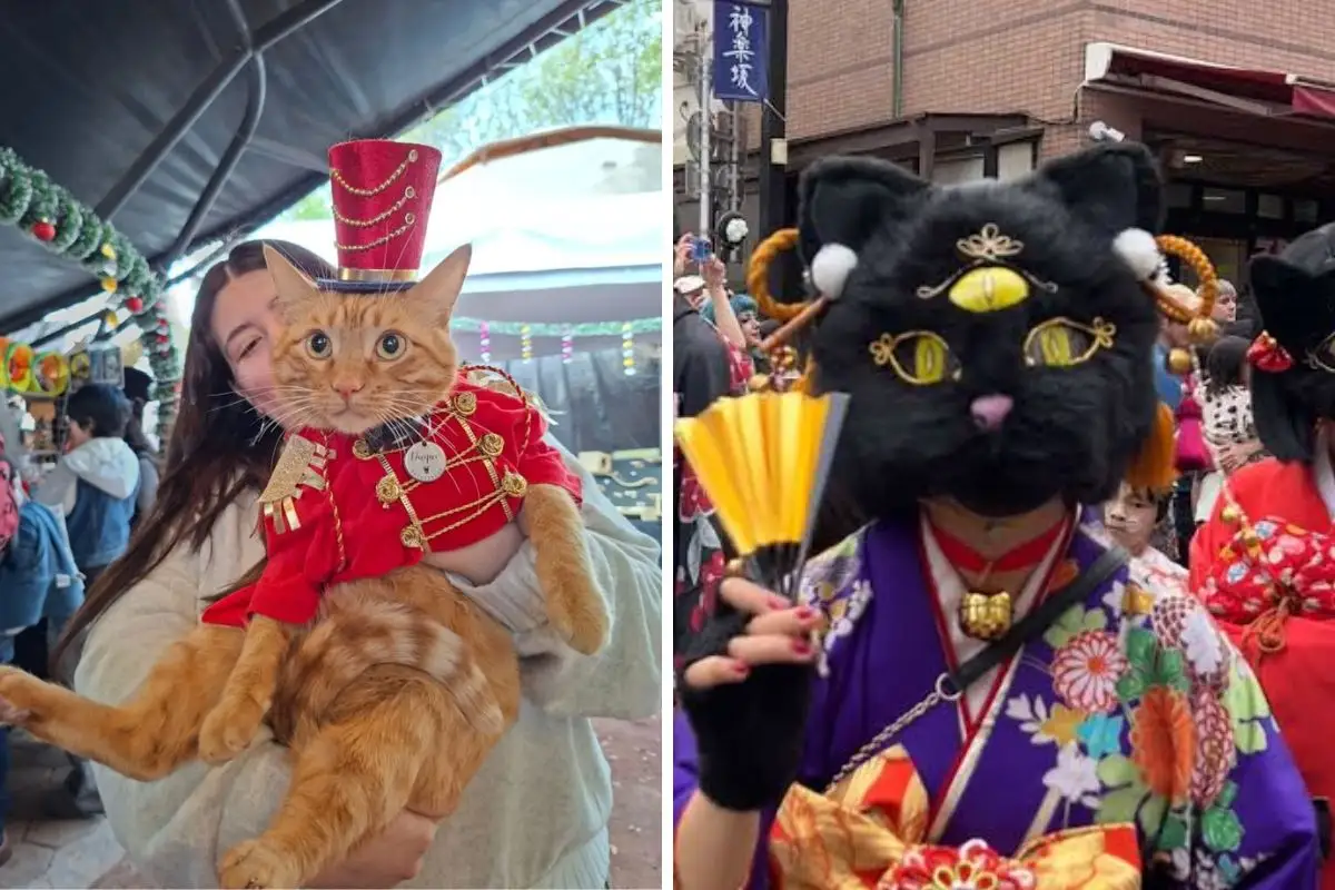 Primer Michi Fest en Puebla: fecha, lugar y actividades