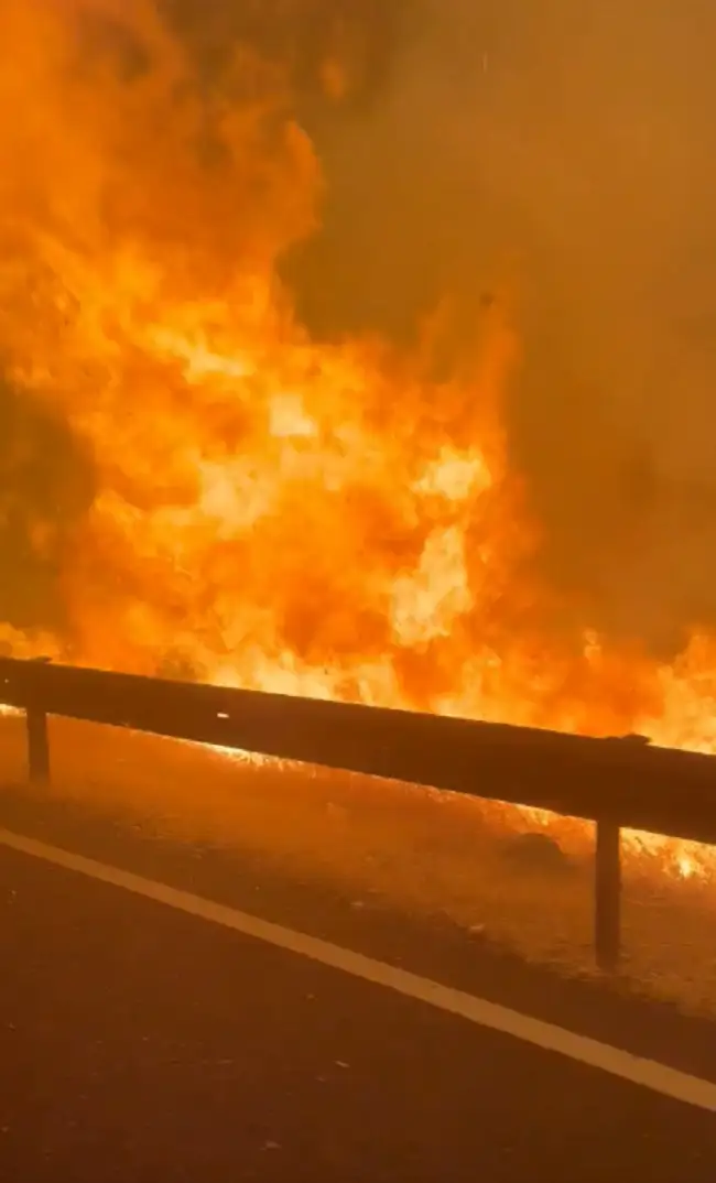 Incendios en Madrid: evacúan a más de 80 mil personas