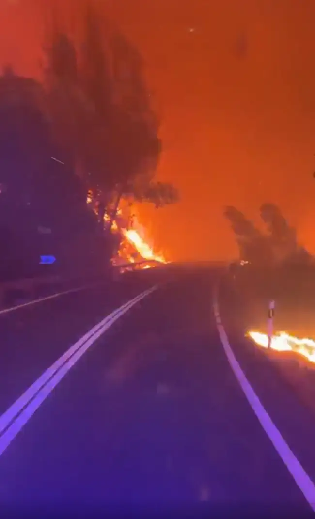 Incendios en Madrid: evacúan a más de 80 mil personas