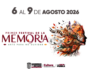 DIseno fmemorias 300 250