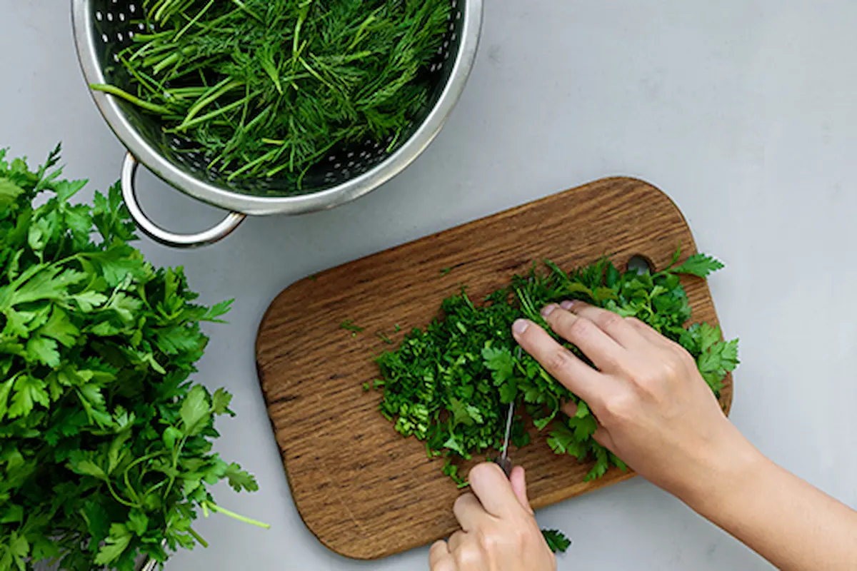 Estados Unidos vincula cilantro y perejil mexicanos con brote de diarrea explosiva