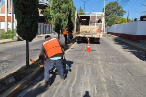 Mantiene Tonantzin Fernández trabajo constante en el mejoramiento de parques y áreas verdes