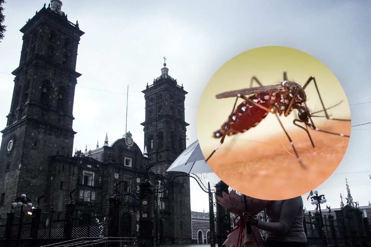enfermedades en temporada de lluvias PORTADA