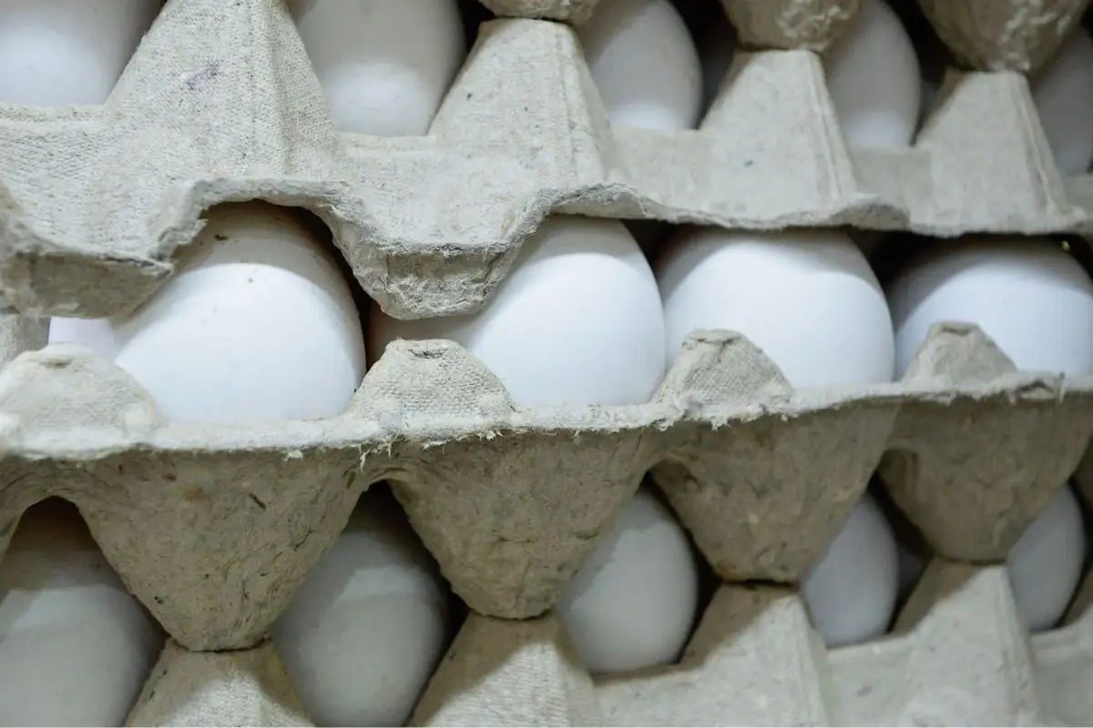 Así puedes identificar los huevos con salmonella tras brote y retiro de 19 millones de unidades 3 Así puedes identificar los huevos con salmonella