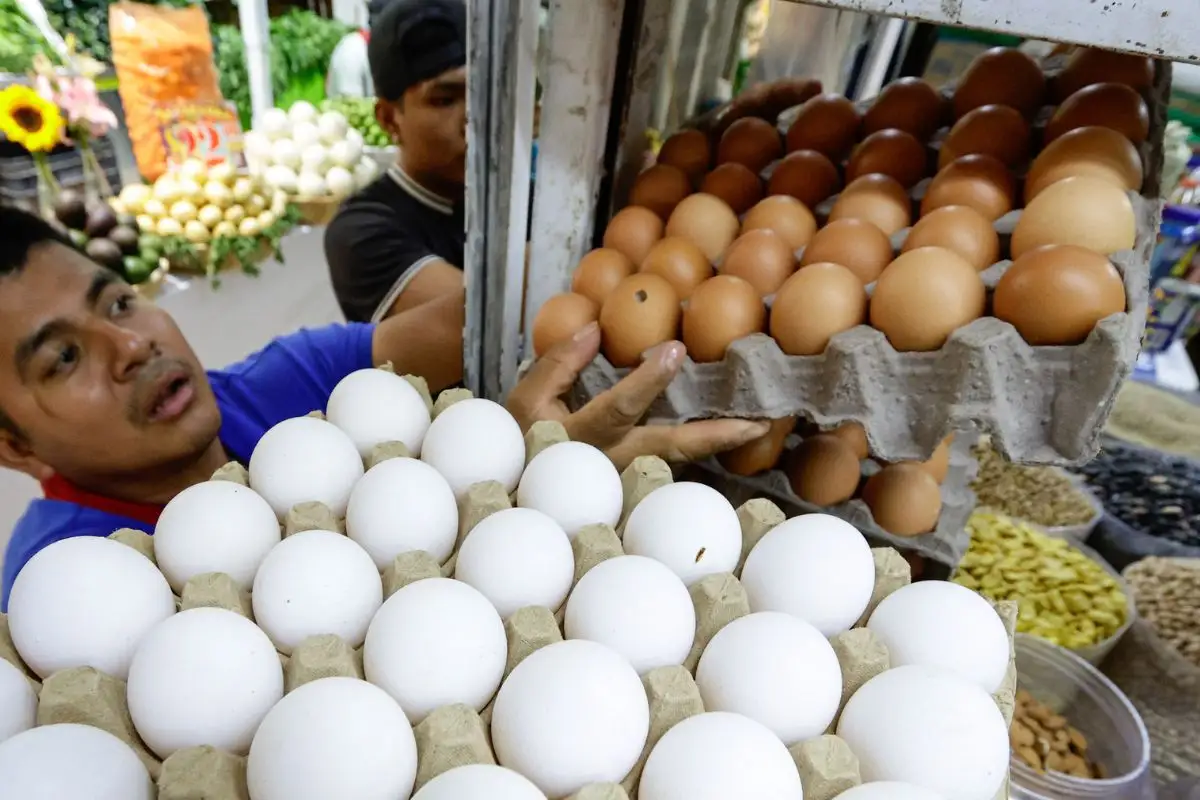 Así puedes identificar los huevos con salmonella tras brote y retiro de 19 millones de unidades 2 Así puedes identificar los huevos con salmonella