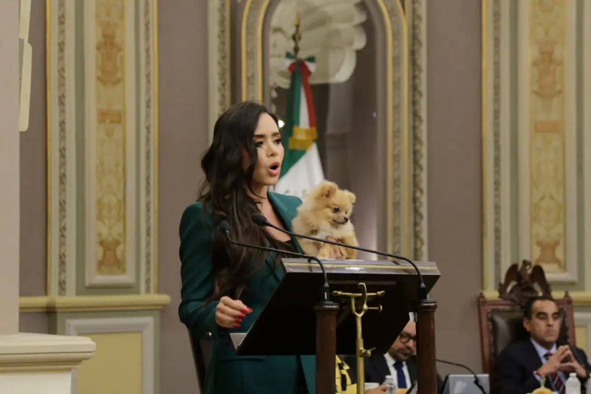Estos son los 10 diputados de Puebla con menos iniciativas aprobadas en la actual legislatura 3 Los 10 diputados de Puebla con menos iniciativas aprobadas